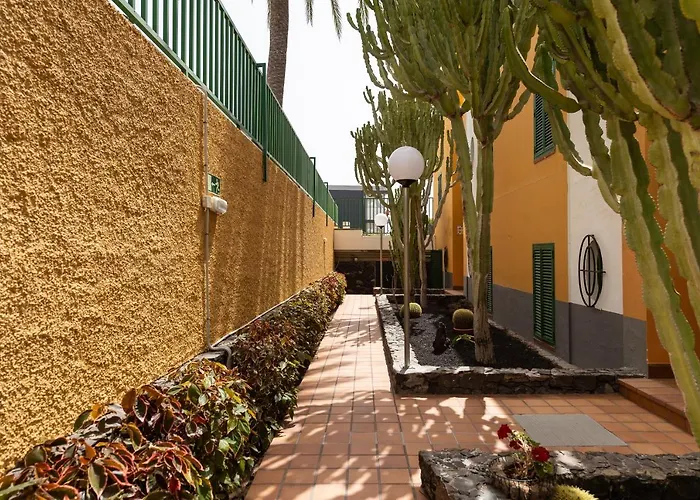 Apartamentos Cordial Judoca Beach (Adults Only)